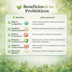 Beneficios de los Probióticos infografía